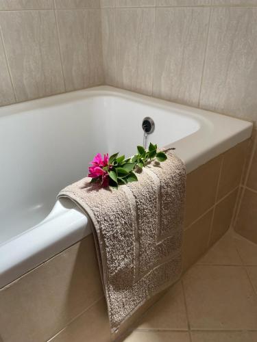 a pink flower sitting on the side of a bath tub at Villa Elpida Aspro in Koprána