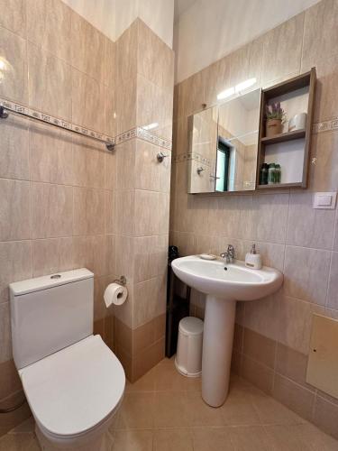a bathroom with a toilet and a sink at Villa Elpida Aspro in Koprána