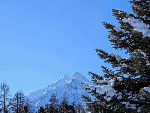 a mountain covered in snow with trees in the foreground at Zur Alten Post - Old Post Office in Grächen