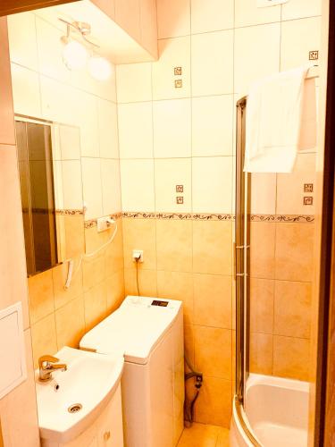 a bathroom with a sink and a toilet and a shower at Apartament Rondo AC Progres in Toruń