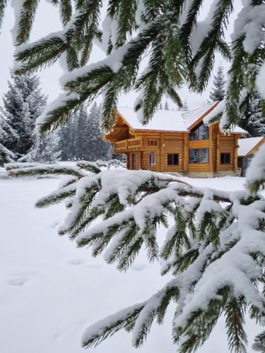 Cabana dintre brazi Mărișel v zimě
