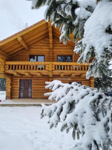 a log cabin in the snow at Cabana dintre brazi Mărișel in Dealu Negru