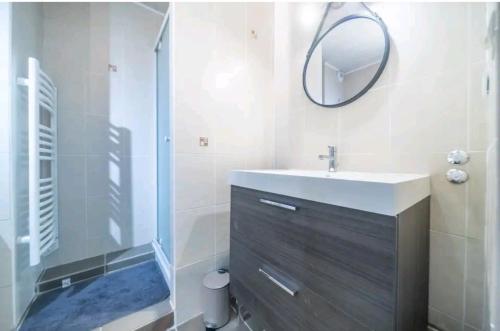 une salle de bain avec un lavabo et une douche avec un miroir dans l'établissement La capitainerie, au Cap d'Agde