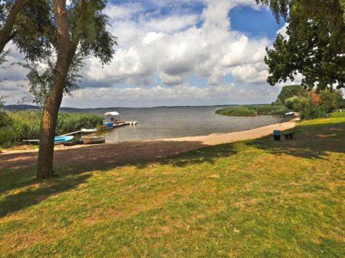 a beach with boats on the water and a tree at Ferienwohnung am Kummerower See, Sommersdorf in Sommersdorf