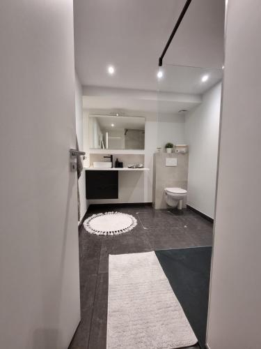 Il comprend une cuisine et une salle de bains blanche pourvue de toilettes. dans l'établissement Cosy apartment facing parks - Quartier de France, à Vichy
