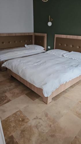 a bedroom with a large bed with white sheets at Twin Villa1 in Văliug