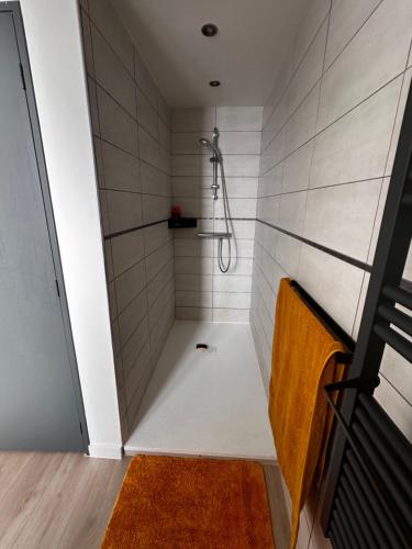 a bathroom with a shower with white tiles at Charmante Maison in Abrest