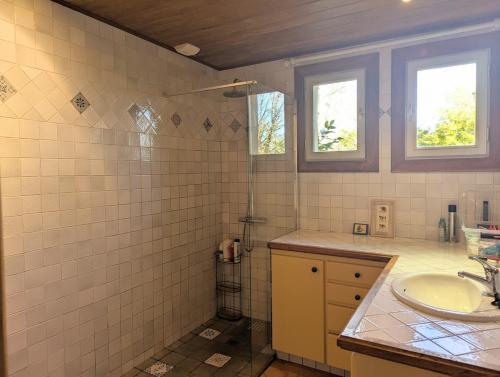 Saint-AlbanにあるCasa Bretonne- Grand terrain- 7mn de la plage-の洗面台とシャワー付きのバスルーム