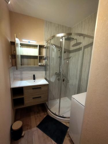 une salle de bain avec douche et lavabo dans l'établissement L'Espérance, à Plombières-les-Bains