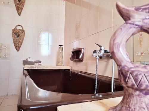 a bathroom with a bath tub and a sink at Nuragic Temple in Esterzili