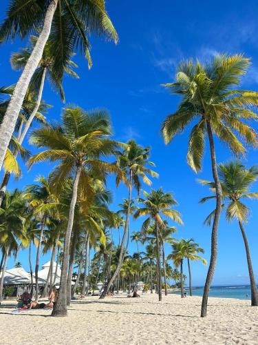 a group of palm trees on a beach at Rubis - Vue piscine, balcon, proche Destraland in Baie-Mahault
