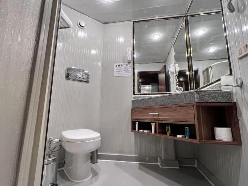 a bathroom with a toilet and a sink and a mirror at Nile Cruise Luxor 4 nights Aswan 3 nights in Luxor