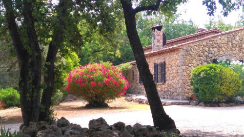 une maison en pierre avec des fleurs roses devant elle dans l'établissement Luxurious villa with large heated pool in 2 acre private garden Ideally located for visiting Cannes Nice and St Tropez, à Saint-Paul-en-Forêt