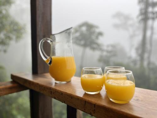 Fotografie z fotogalerie ubytování Paseo Por Las Nubes Birding Lodge v destinaci Chámeza