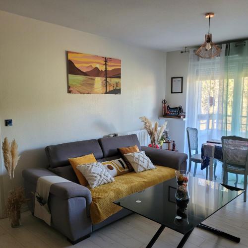 Appartement pechDavid SUD