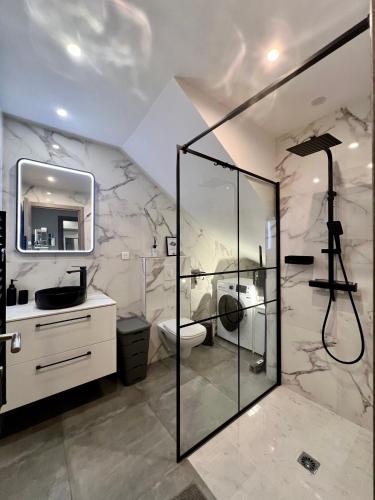 une salle de bain avec une douche, des toilettes et un lavabo dans l'établissement Appartement standing avec jardin, Clim, wifi, proche des plages, à Six-Fours-les-Plages