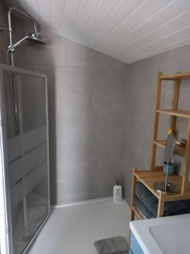 une douche avec une porte vitrée dans une salle de bain dans l'établissement Ty'Château Carignan de Bordeaux B&B, à Carignan