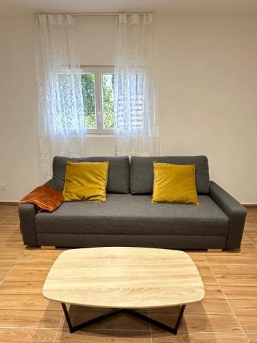 a living room with a couch with two yellow pillows at Charmant T2 proche gare SNCF à 15 min de Lyon in Sérézin-du-Rhône
