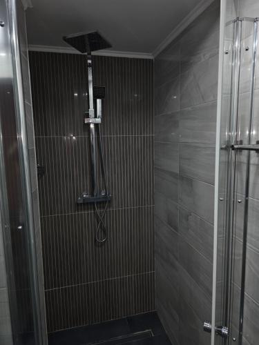 a shower with a shower head in a bathroom at Ferienhaus Harmonie Kulmbach Zentrum in Kulmbach