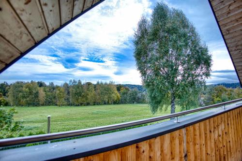 a view of a tree from a porch with a fence at Łykolańczyk-Chatki z JACUZZI in Polańczyk