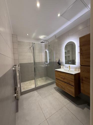 une salle de bain avec douche et lavabo dans l'établissement L'Odyssée au centre-ville, à Dunkerque