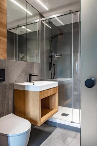 une salle de bain avec un lavabo, une douche et des toilettes dans l'établissement Appartement de charme au pied des pistes de Cordon, à Cordon