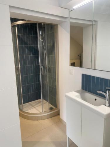 une salle de bain avec douche et lavabo dans l'établissement Cosy cottage by Alice Maison de village provençal, à Fuveau