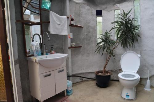 Bilik mandi di Akerama farm stay