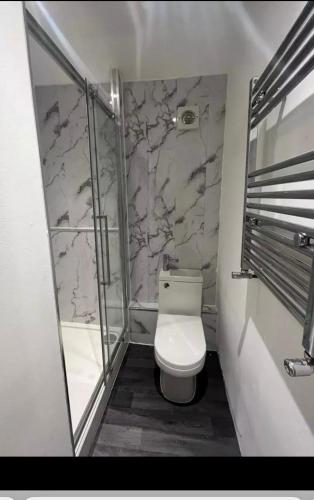 a bathroom with a toilet and a walk in shower at Cosy Charming room in big house in Little Hulton