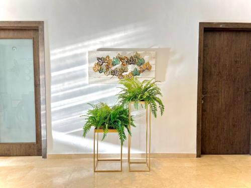 two potted plants in front of a wall at Ritz carlton luxurious stay in Marina Smir