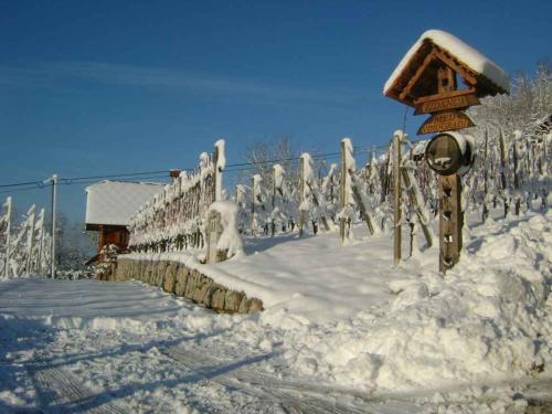 a yard covered in snow with a fence at Holiday home in Otocec - Kranjska (Krain) 33898 in Otočec