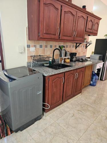 a kitchen with wooden cabinets and a sink and a dishwasher at Apartamento Costa Azul en El Pueblito in San Felipe de Puerto Plata