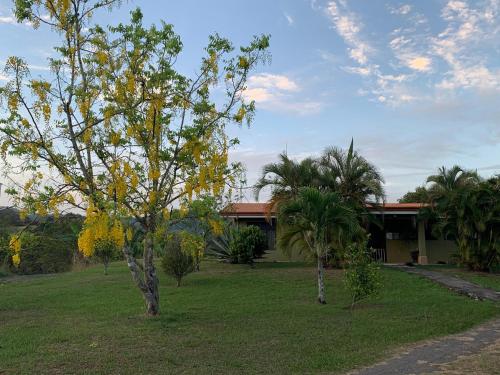 a house with trees in front of a yard at Caladium House in the best weather! in Mercedes