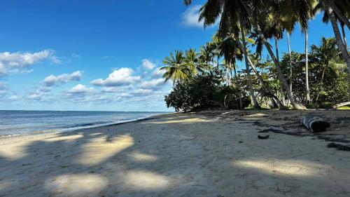 piaszczysta plaża z palmami i oceanem w obiekcie Casa Ballenas2 w mieście Las Terrenas