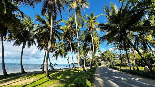 eine von Palmen gesäumte Straße am Strand in der Unterkunft Casa Ballenas2 in Las Terrenas