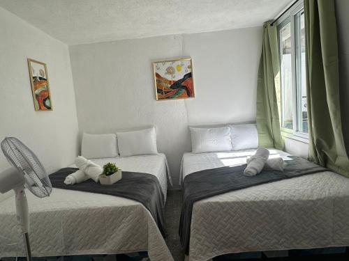 Imagen de la galería de Casa Zakura, en Guatemala