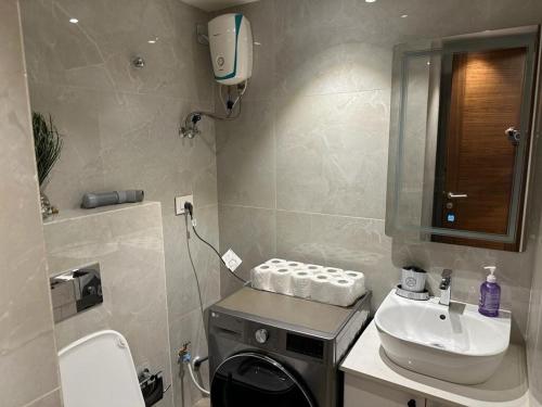 アクラにあるSolaris Apartment at Osu Ghanaの洗面台とトイレ付きの小さなバスルーム
