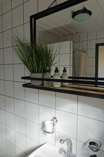 a bathroom with a sink and a mirror at Rooisand Desert Ranch in Chausib