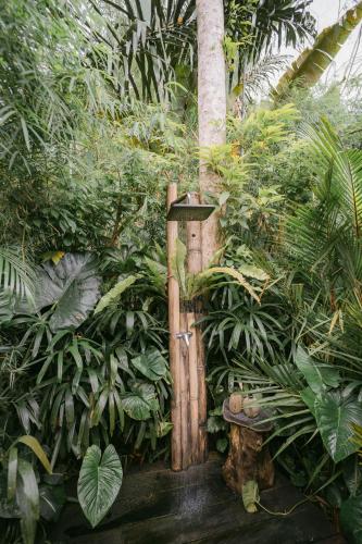 Taman di luar Arcada Bali Bamboo House