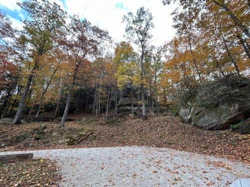 a dirt road in a forest with trees and leaves at Cherokee Cabin-Cave Run Lake and Cliff Views-Red River Gorge in Big Woods