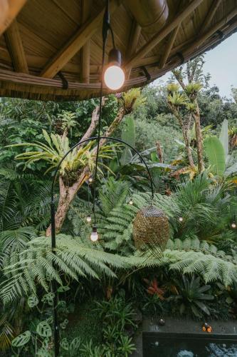 Taman di luar Arcada Bali Bamboo House