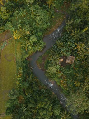 Landskap semula jadi dekat dengan vila ini