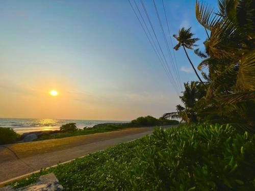 a road with a palm tree and the ocean at sunset at Zone 51 Malpe - Beach Camp Experience in Udupi