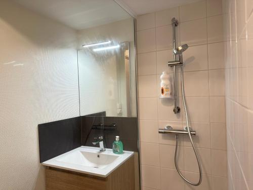 une salle de bain avec un lavabo et une douche avec un miroir dans l'établissement Quiet T2 Downtown overlooking Saumur Castle, à Saumur