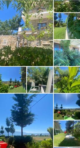 a collage of photos with a tree in the middle at Hotel Bar Restaurant Stone Dream in Udënisht
