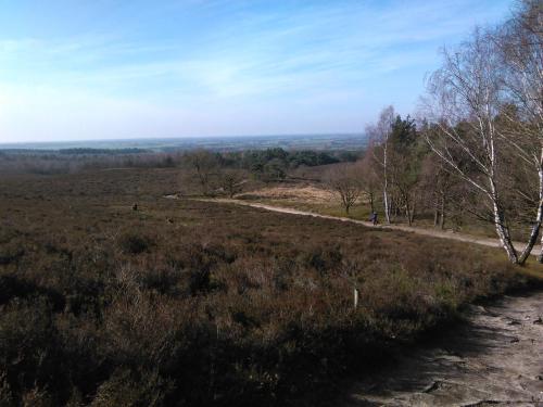 a dirt road in the middle of a field at B&B De Luttikhoeve in Giethmen