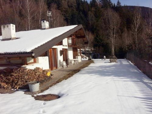 Eco Chalet Nonno Silvano en invierno