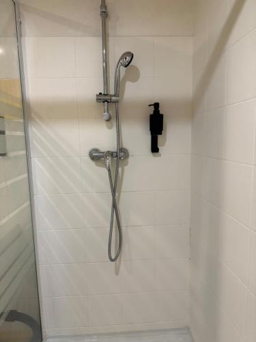une douche avec pommeau de douche dans une salle de bain dans l'établissement Studio 108 Parking Gratuit, à Aix-en-Provence