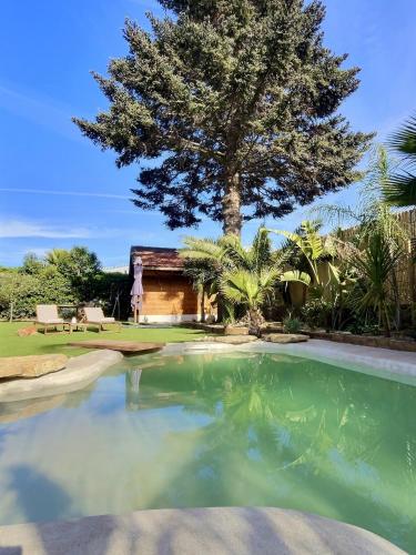 une maison avec un arbre et une piscine dans l'établissement Tim by Terrys Homes, à Hyères
