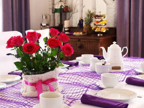 Galeriebild der Unterkunft Villa Polskacanaria in Gardeja